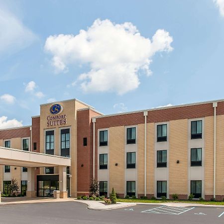 Comfort Suites Rensselaer Near Fair Oaks Bagian luar foto