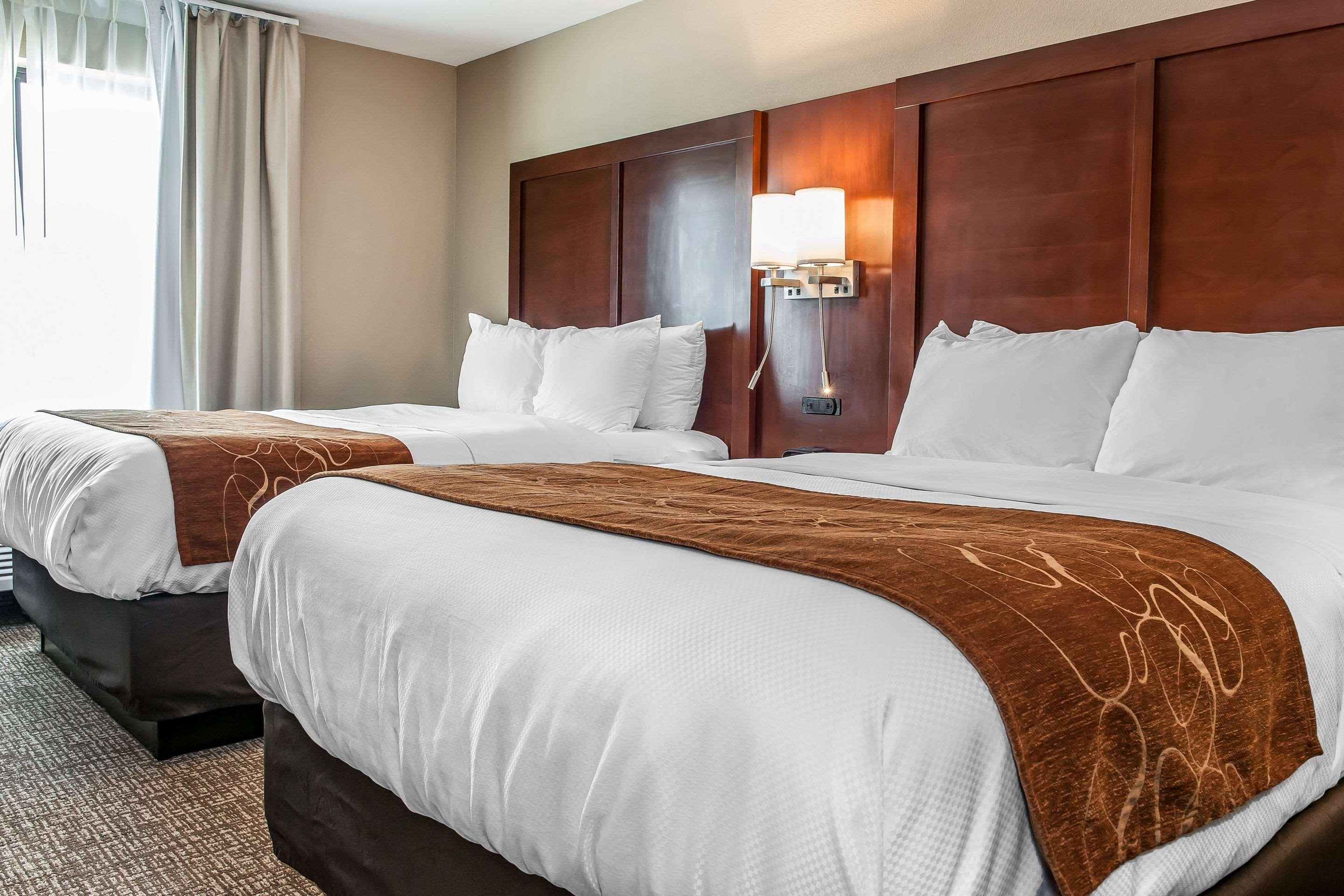 Comfort Suites Rensselaer Near Fair Oaks Bagian luar foto